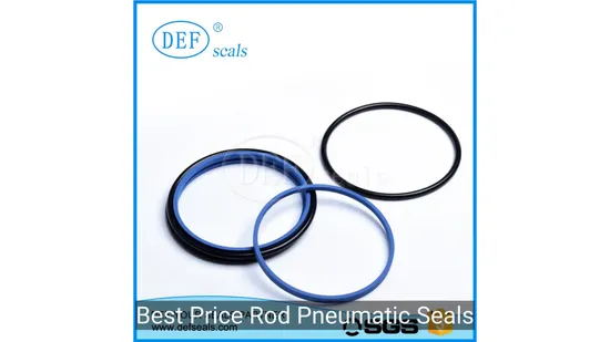 Best Price Rod Pneumatic Seals for Robotics Factory Manufacture